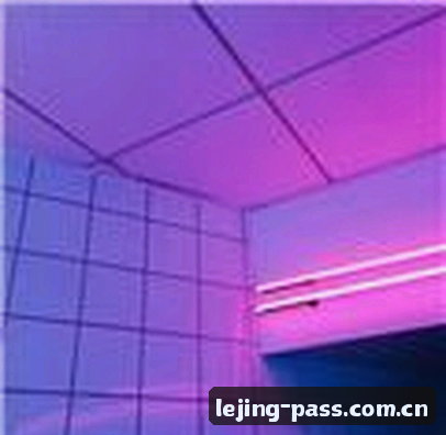 孙悦